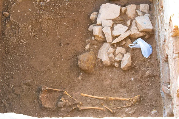 Málaga España Febrero 2020 Lugar Excavación Arqueológica Restos Huesos Humanos —  Fotos de Stock