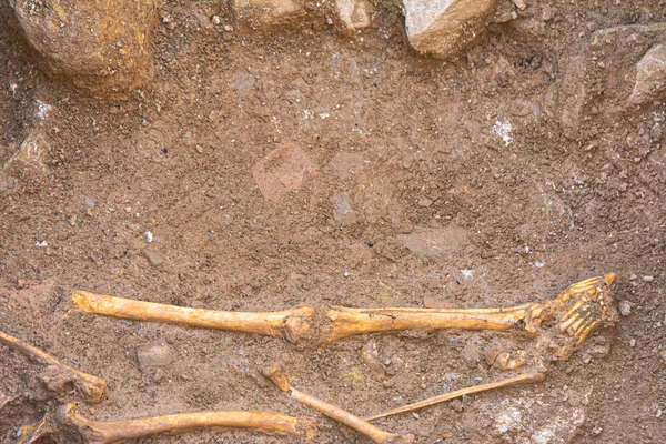 Málaga España Febrero 2020 Lugar Excavación Arqueológica Restos Huesos Humanos —  Fotos de Stock