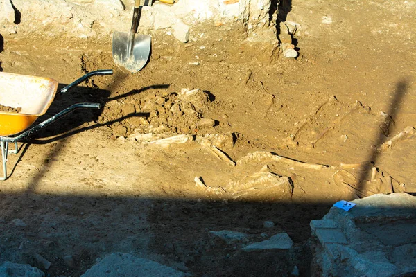 Malaga Spain February 2020 Site Archaeological Excavation Remains Human Bones — Stock Photo, Image