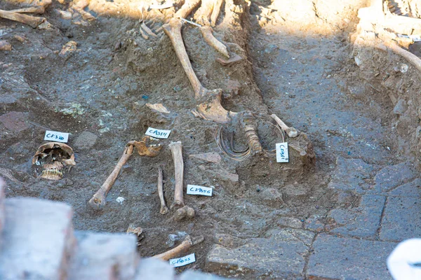Málaga España Febrero 2020 Lugar Excavación Arqueológica Restos Huesos Humanos — Foto de Stock