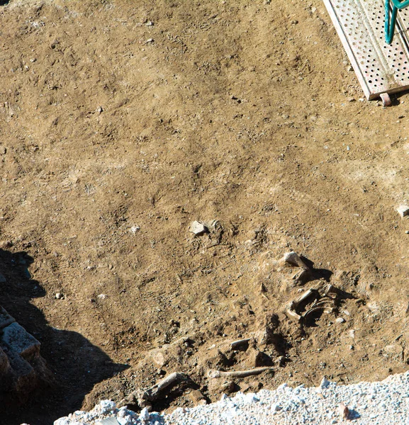 Málaga España Febrero 2020 Lugar Excavación Arqueológica Restos Huesos Humanos —  Fotos de Stock