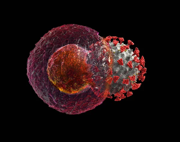 Coronavirus Covid Atakujący Ludzką Komórkę — Zdjęcie stockowe