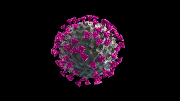Coronavirus Covid Uitbraak Besmettelijke Infectie Zwarte Achtergrond — Stockvideo