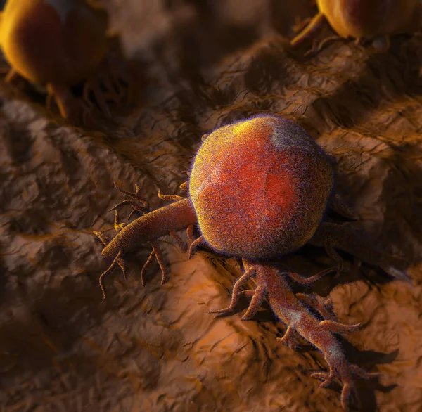 Cancercell Mikroskop Illustration — Stockfoto