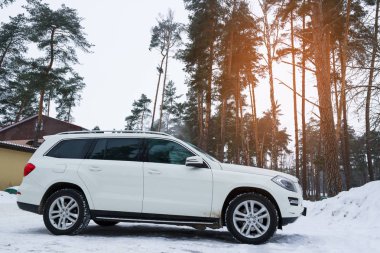 Crossover Mercedes ormanda Park 