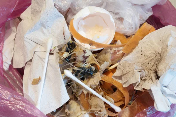 Çöp yiyecek kalıntıları