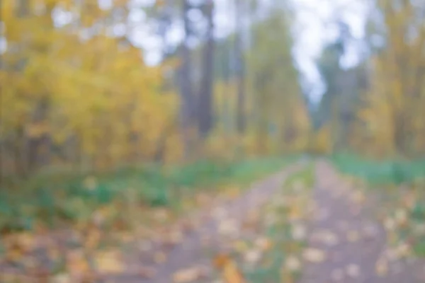 Hintergrund des schönen Herbstwaldes mit bunten fallenden Blättern. — Stockfoto