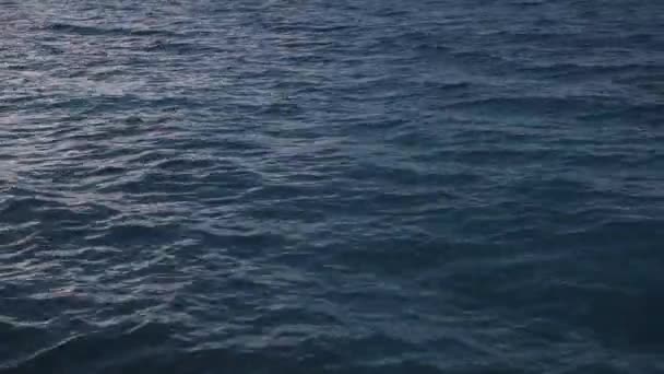 Water golven, niet erg groot. — Stockvideo