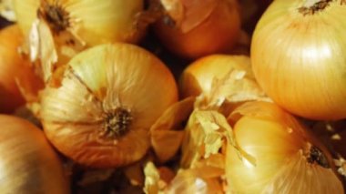 Soğan. Bir el yakın çekim koyar.