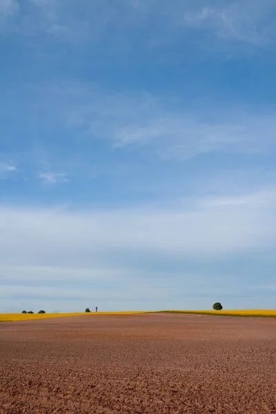 Agriculture, rangs de terre prêts à ensemencer et champ de canola jaune — Photo