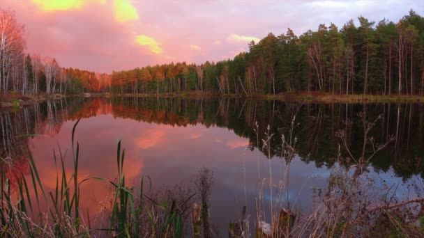 Hochwertiger Zeitraffer, wunderschöner Waldsee bei herrlichem Sonnenaufgang. — Stockvideo