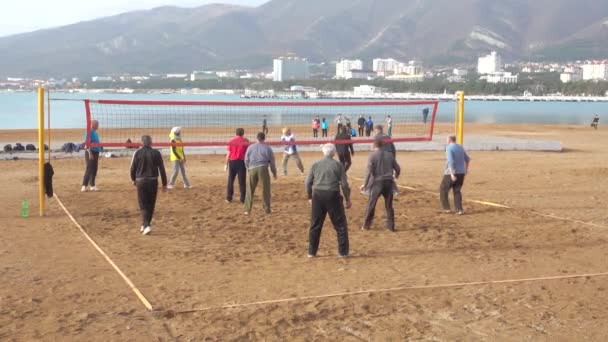 Personas mayores jugando voleibol en la playa — Vídeos de Stock