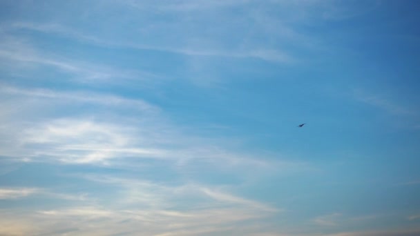 Avión volando en el cielo. — Vídeos de Stock