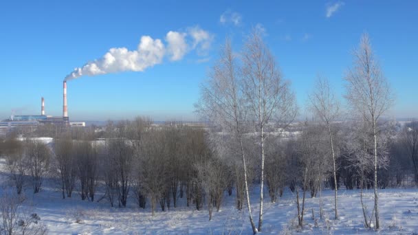 Winter nature and thermal chimney of power station — Stock Video
