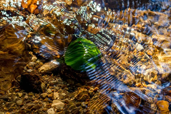 Красивая Текстура Водных Волн Мелководном Ручье — стоковое фото