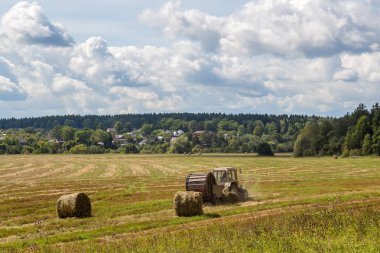 Hasat, traktör ekmeklerde buğday topluyor.