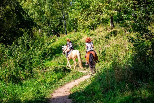 Twee Paarden Ruiters Rijden Een Smal Bospad Paardrijden — Stockfoto