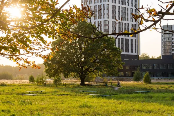 Cityscape Rozprostírajícím Dubem Jeden Symbolů Města Obninsk Rusko — Stock fotografie