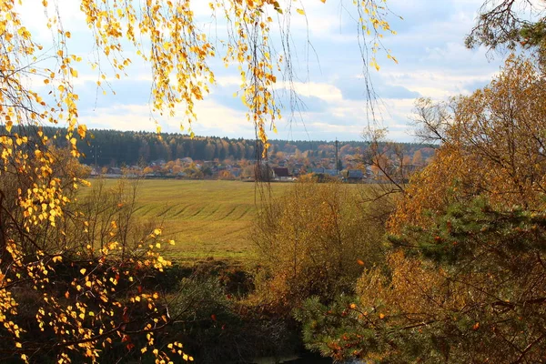 Blick Durch Herbstliches Laub Auf Grüne Wiesen Und Kleine Landhäuser — Stockfoto