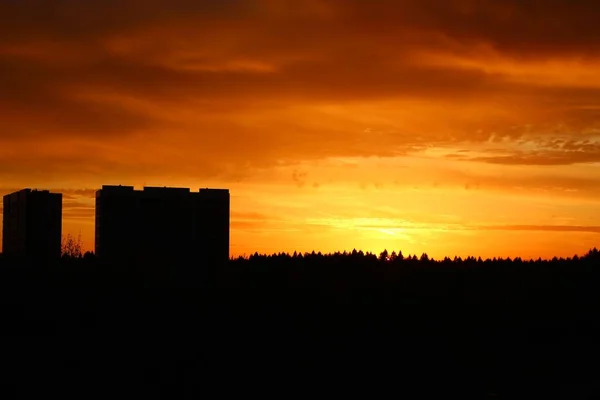 高層ビルのシルエットと美しい燃えるような赤い夕日に対する森 — ストック写真