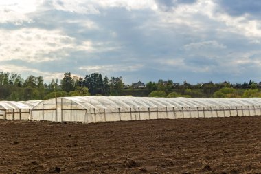 Bir tarla manzarası ve bir çiftlikteki seralar