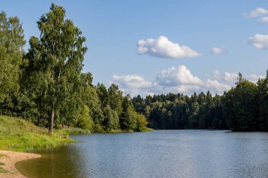 Orman bölgesinde göleti olan manzara manzarası
