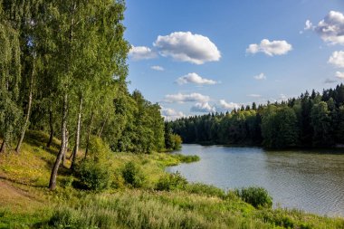 Orman bölgesinde göleti olan manzara manzarası