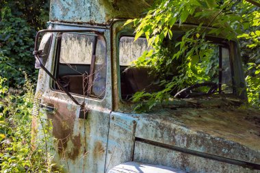 Yeşil bir ormanda terk edilmiş eski bir kamyonet.