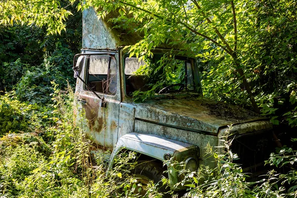 Viejo Camión Oxidado Abandonado Bosque Verde — Foto de Stock