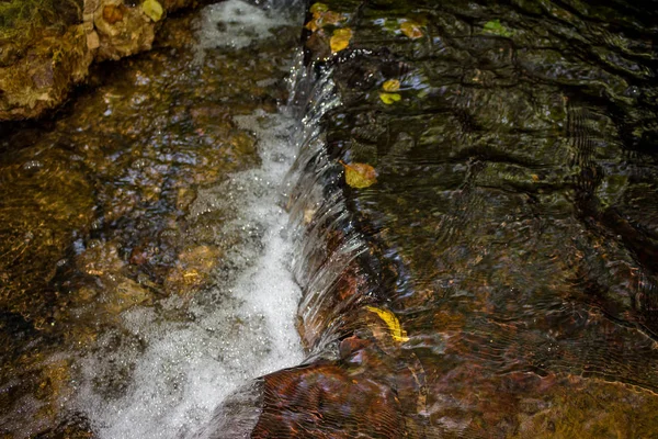 Petite Chute Eau Ruisseau Gros Plan — Photo