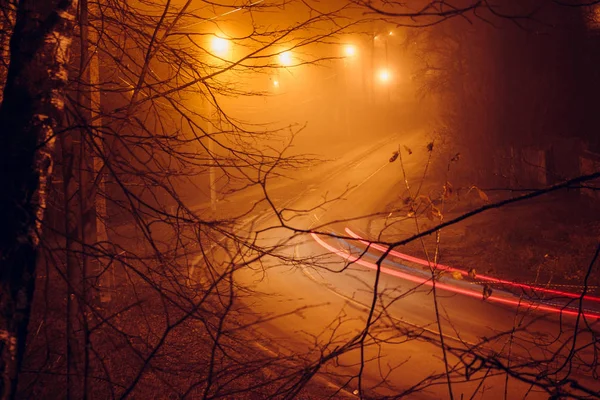 Vista Una Carretera Nocturna Niebla Luz Linternas —  Fotos de Stock