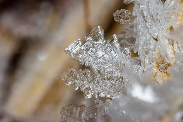Crystal Hoarfrost Plants Macro — Stock Photo, Image