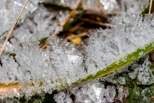 草坪宏观结晶体冻土的强度 — 图库照片