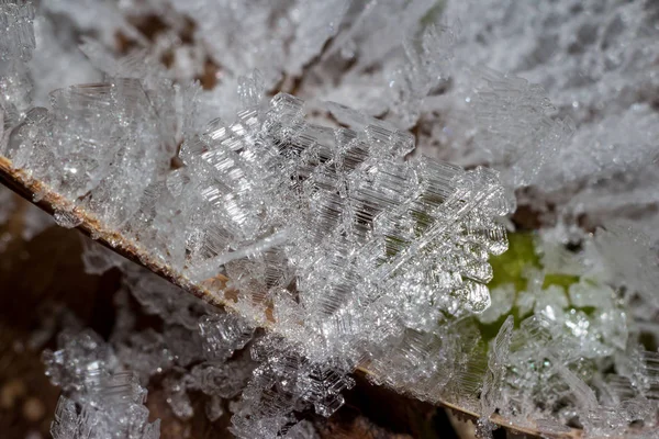 Pertumbuhan Hoarfrost Kristal Pada Makro Rumput — Stok Foto