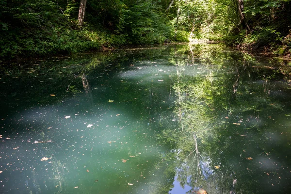 緑の水と緑の森の池 森の池 — ストック写真