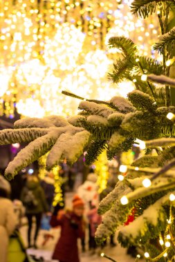 Şehir sokaklarında güzel Noel ışıkları ve karla kaplı kozalaklı dallar.