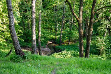 The view from the hill on a winding stream among the forest. Repinka river in Obninsk, Russia