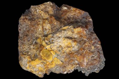 Siyah arka planda kireçtaşı kayalarda fosilleşmiş paleofauna birikmesi. Karbonifer dönemi, Rusya