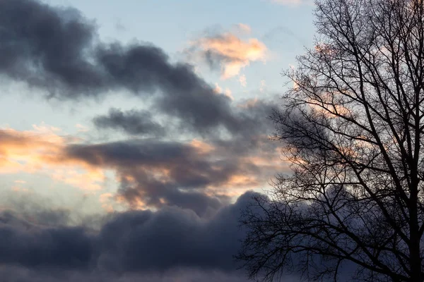 Σύννεφα Στο Ηλιοβασίλεμα Πίσω Από Κλαδιά Δέντρων — Φωτογραφία Αρχείου