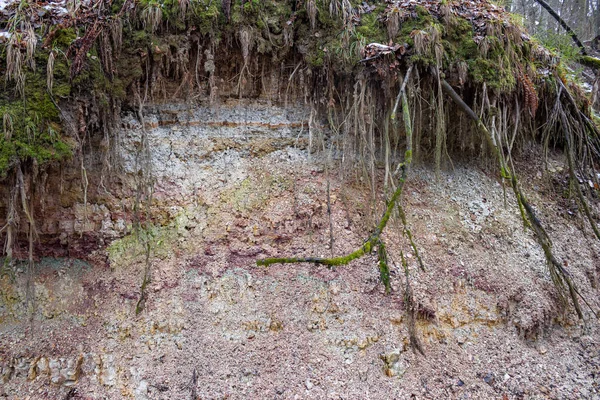 Clay Carbonferous Period Geological Outcrop Inglés Región Kaluzhskiy Rusia — Foto de Stock