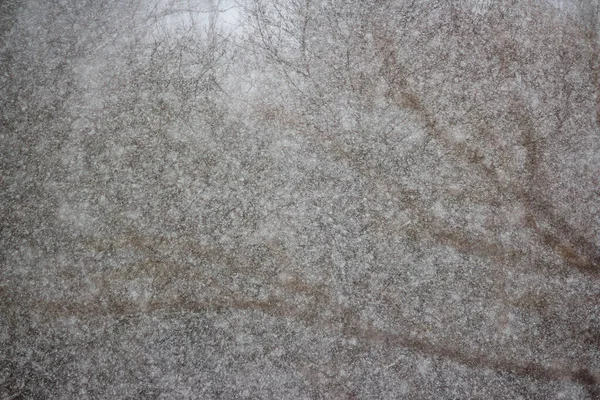 Heftiger Schneesturm Bei Schneefall Weißes Rauschen — Stockfoto