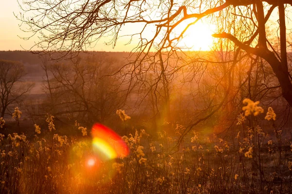 Colorido Brillante Puesta Sol Ardiente Detrás Los Árboles — Foto de Stock