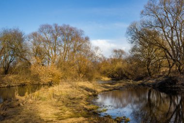 Kaluzhskiy Bölgesi, Rusya 'daki Protva Nehri üzerinde küçük bir ada manzarası