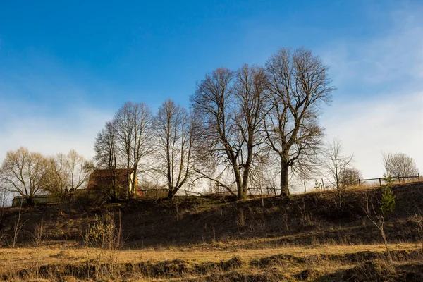 Paisaje Con Árboles Una Colina Sobre Fondo Cielo Azul Campo — Foto de Stock