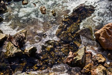 Derenin yüzeyinde eriyen buz