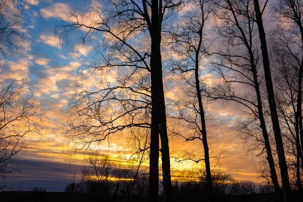 Pôr Sol Multicolorido Colorido Atrás Silhuetas Árvores — Fotografia de Stock