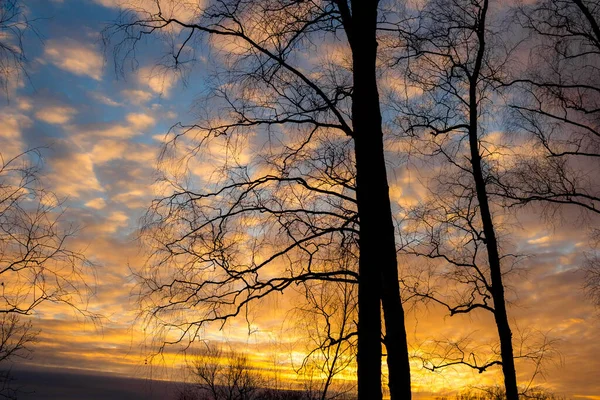 Pôr Sol Multicolorido Colorido Atrás Silhuetas Árvores — Fotografia de Stock