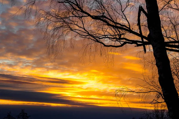 Pôr Sol Multicolorido Colorido Atrás Silhuetas Árvores — Fotografia de Stock