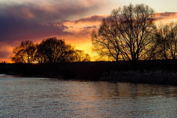 Landscape View Pond Sunset Trees — Stock Photo, Image