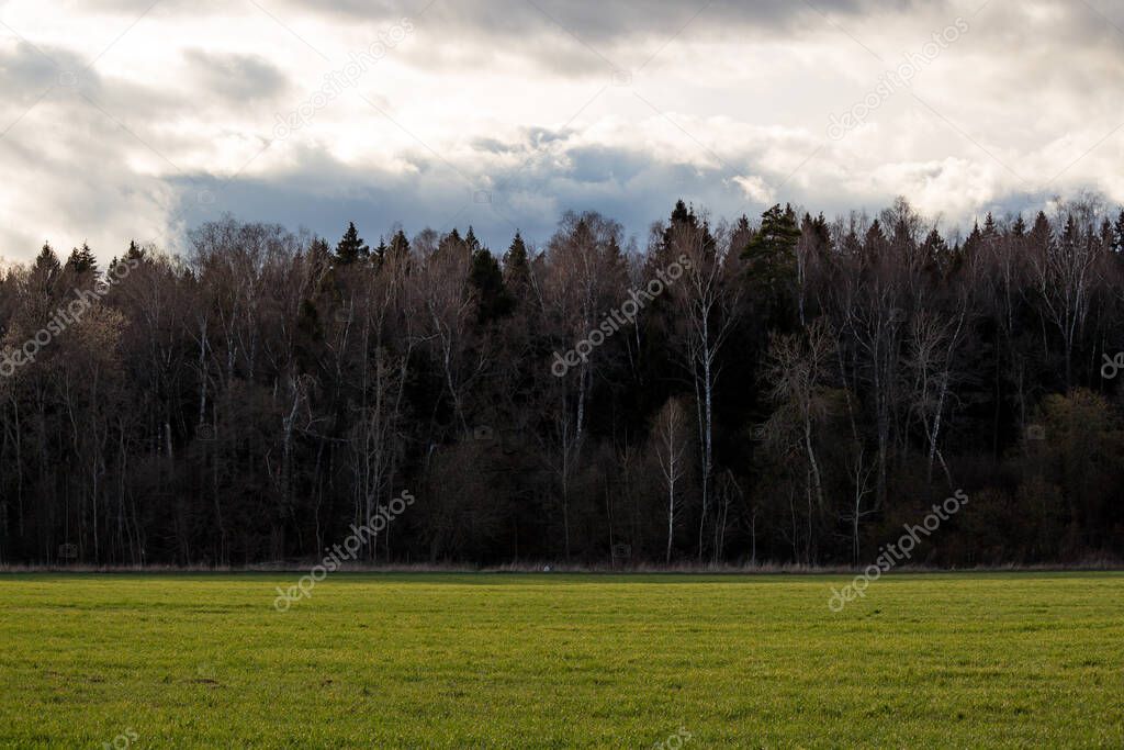 Field, forest and sky. The rule of thirds in photography